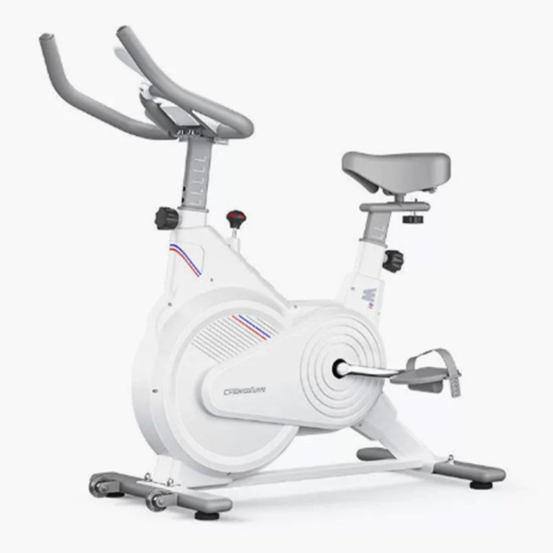 Sepeda Spin Statis Dalam Ruang - Exercise Bike Magnetic Resistance ulasan dan harga