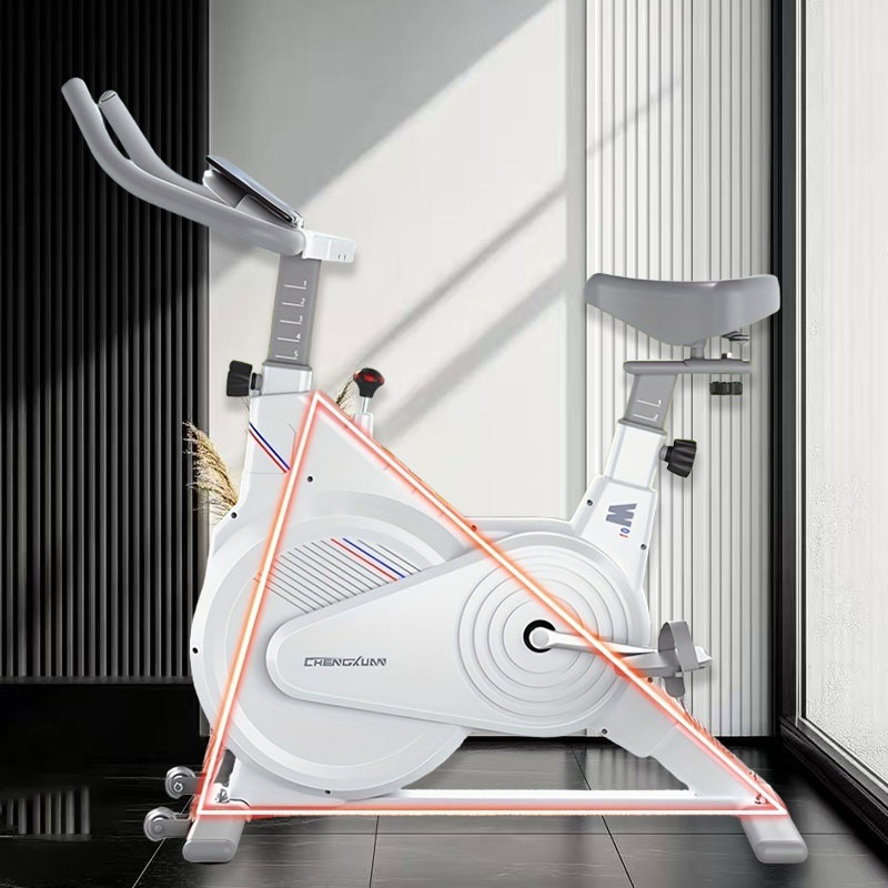 Sepeda Spin Statis Dalam Ruang - Exercise Bike Magnetic Resistance ulasan dan harga