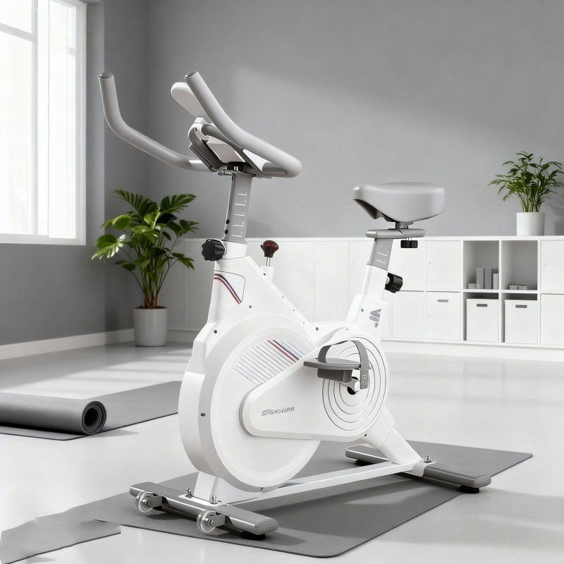 Sepeda Spin Statis Dalam Ruang - Exercise Bike Magnetic Resistance ulasan dan harga